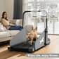 FYC Pet Dog Treadmill Portable Exercise Treadmill Running Machine for Small and Medium Dog Breeds