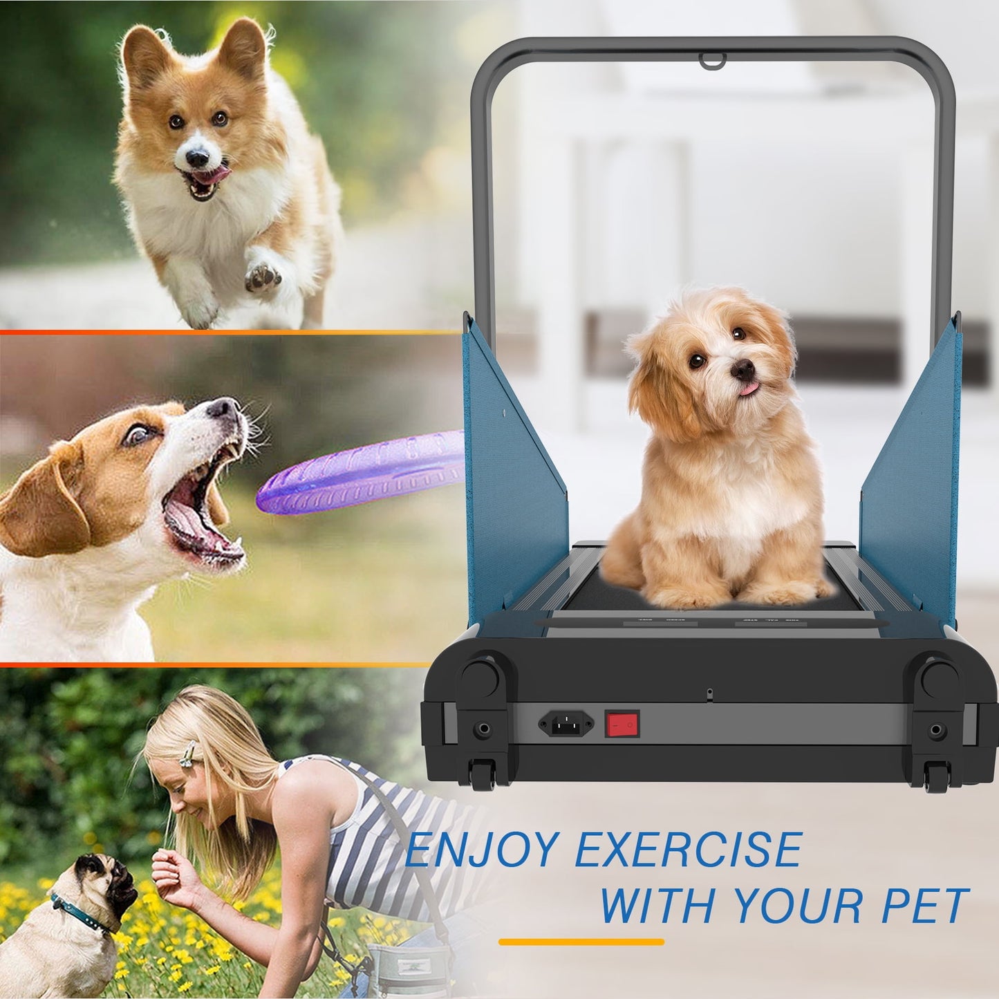 FYC Pet Dog Treadmill Portable Exercise Treadmill Running Machine for Small and Medium Dog Breeds