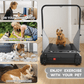 FYC Pet Dog Treadmill Portable Exercise Treadmill Running Machine for Small and Medium Dog Breeds