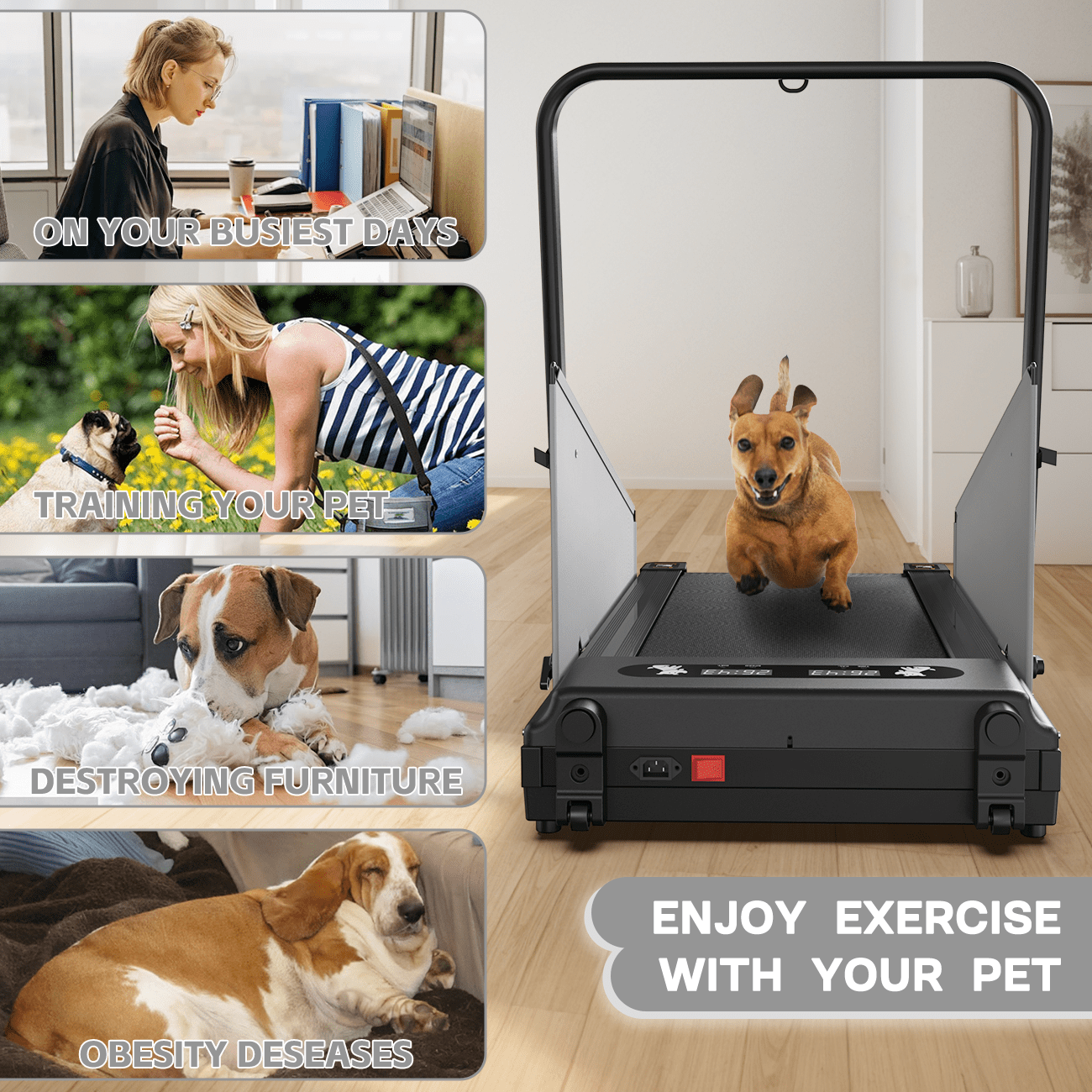 FYC Pet Dog Treadmill Portable Exercise Treadmill Running Machine for Small and Medium Dog Breeds