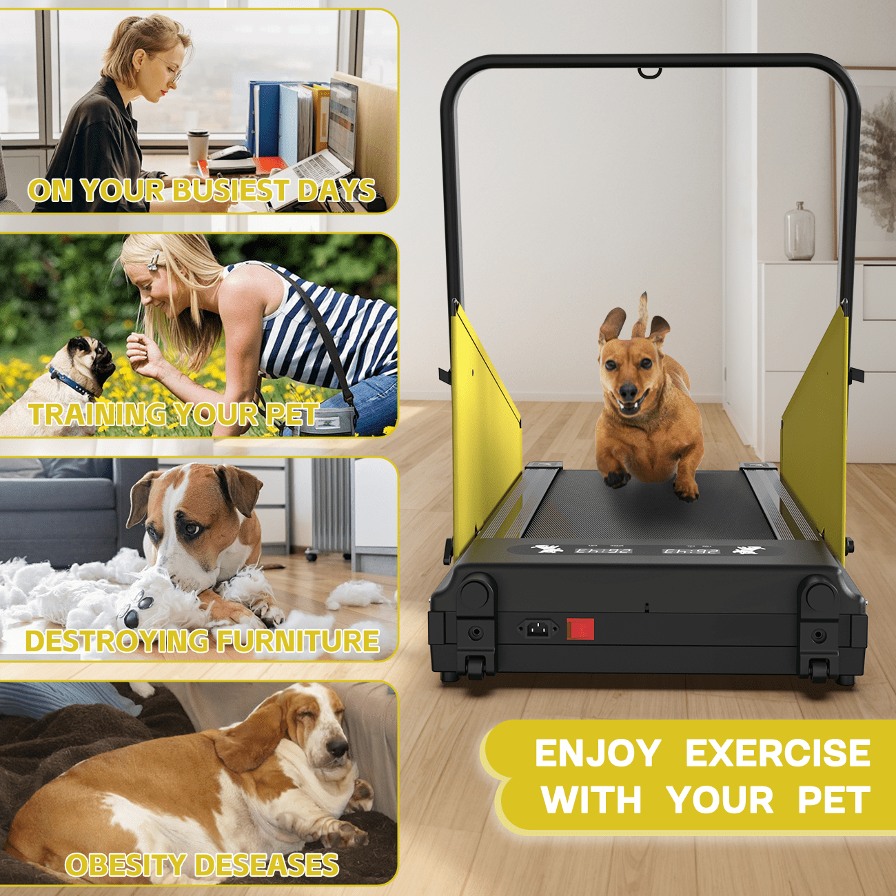 FYC Pet Dog Treadmill Portable Exercise Treadmill Running Machine for Small and Medium Dog Breeds