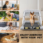 FYC 2025 New Design Pet Treadmill with Incline,  Quiet Smart Adjustable Speed Perfect for Small/Medium Dogs