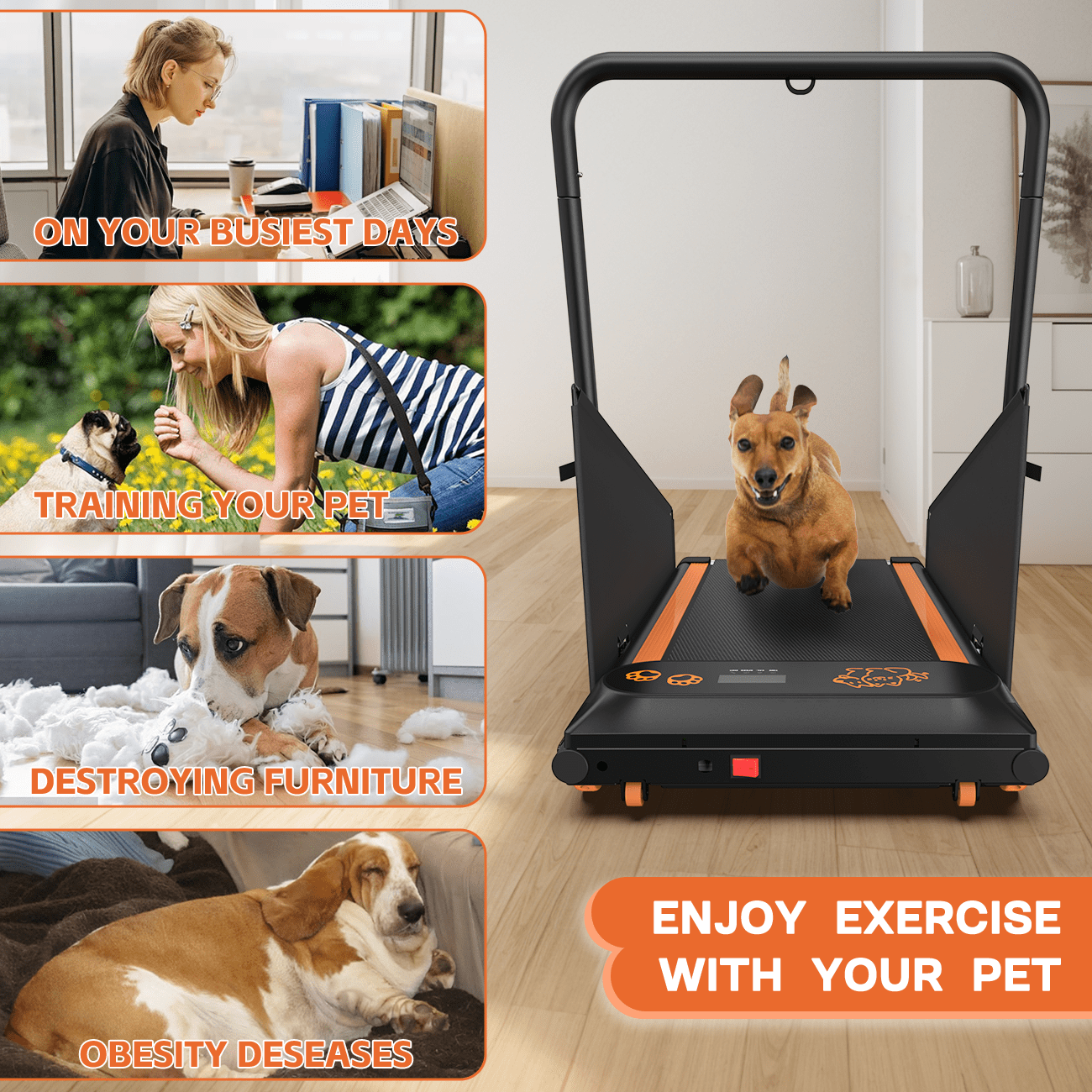 FYC Pet Dog Treadmill Portable Exercise Treadmill Running Machine for Small and Medium Dog Breeds
